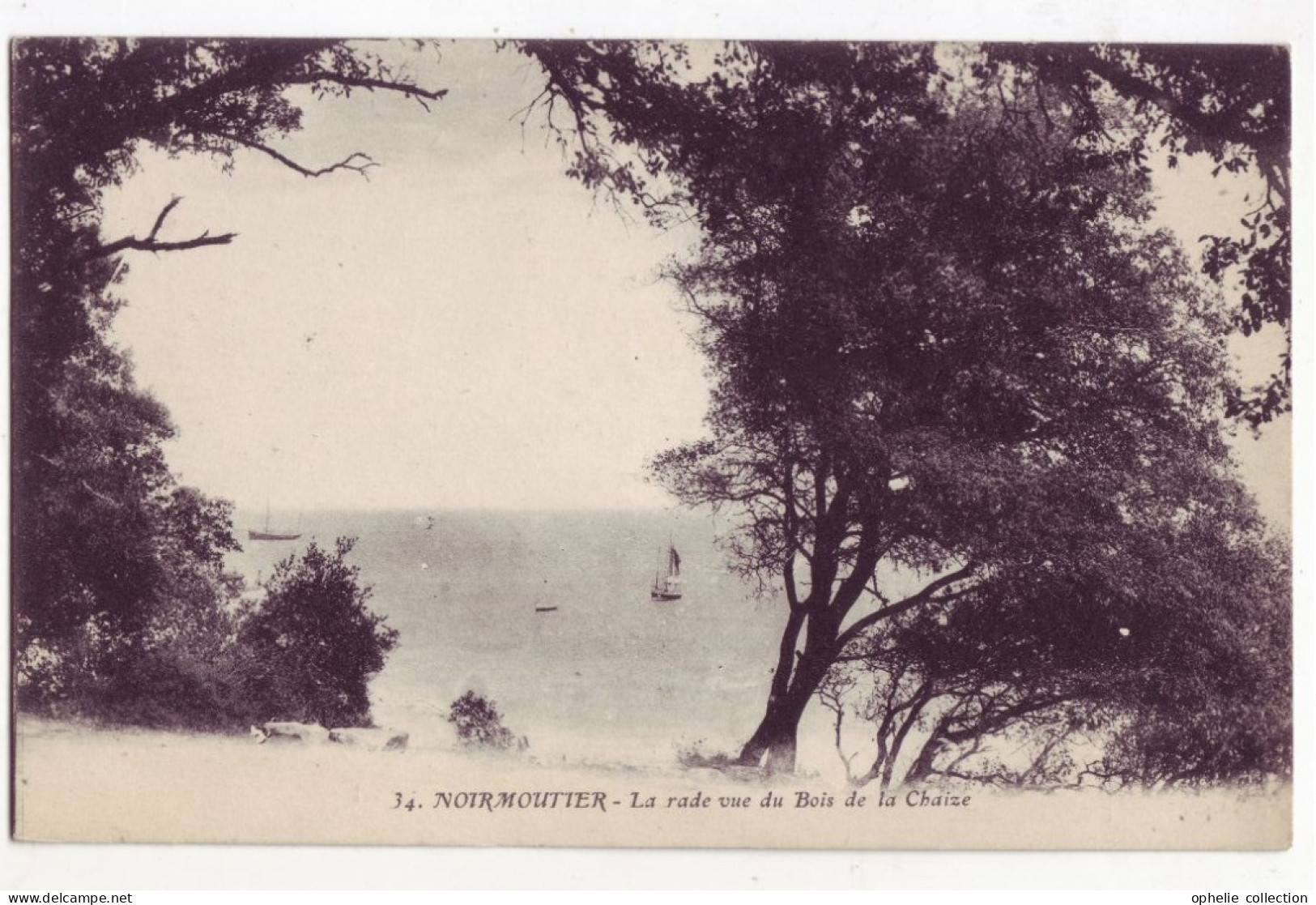 France - 85 - Noirmoutier - La Rade Vue Du Bois De La Chaize - 6469 - Noirmoutier