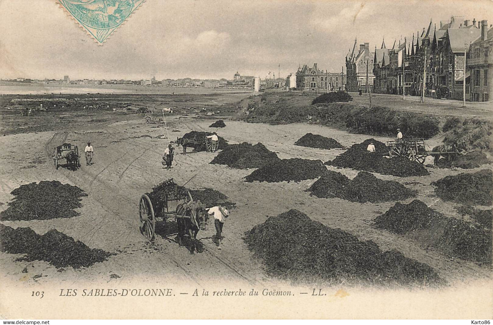 Les Sables D'olonne * à La Recherche Du Goëmon * Attelage Algues - Sables D'Olonne