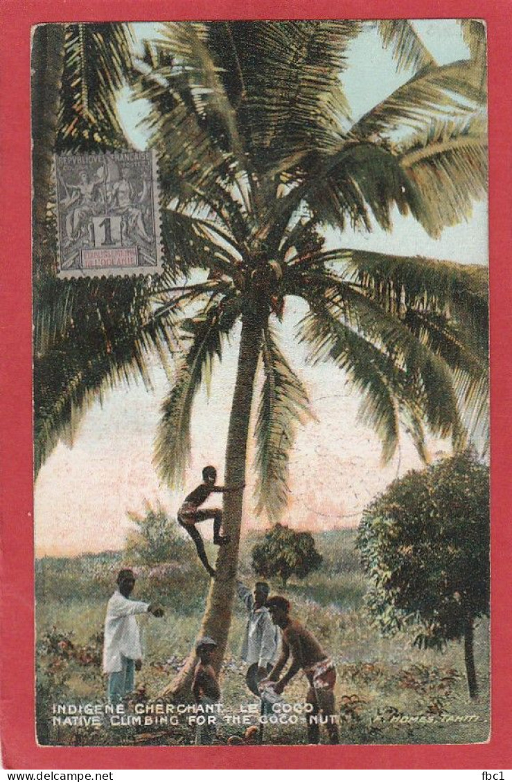 Polynésie Française - Indigène Cherchant Le Coco (F.Homes Tahiti) - Polynésie Française