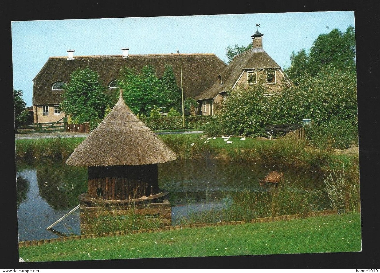 Odoorn Eendenkuil Foto Prentkaart AK Photo Carte Drenthe Nederland Htje - Odoorn