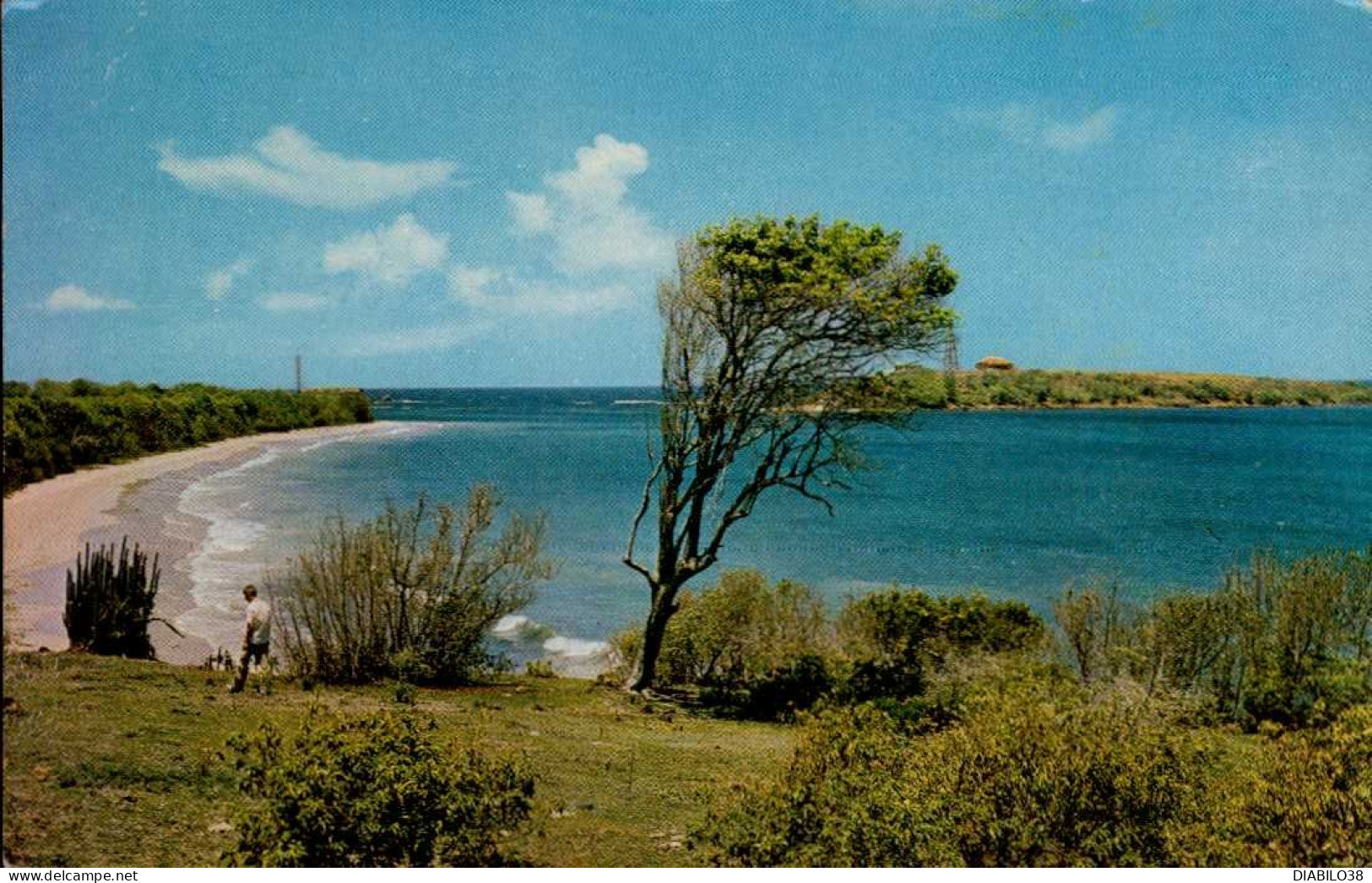 MARTINIQUE _ LE SUD DE L ' ILE; PLAGE DES SALINES - Autres & Non Classés