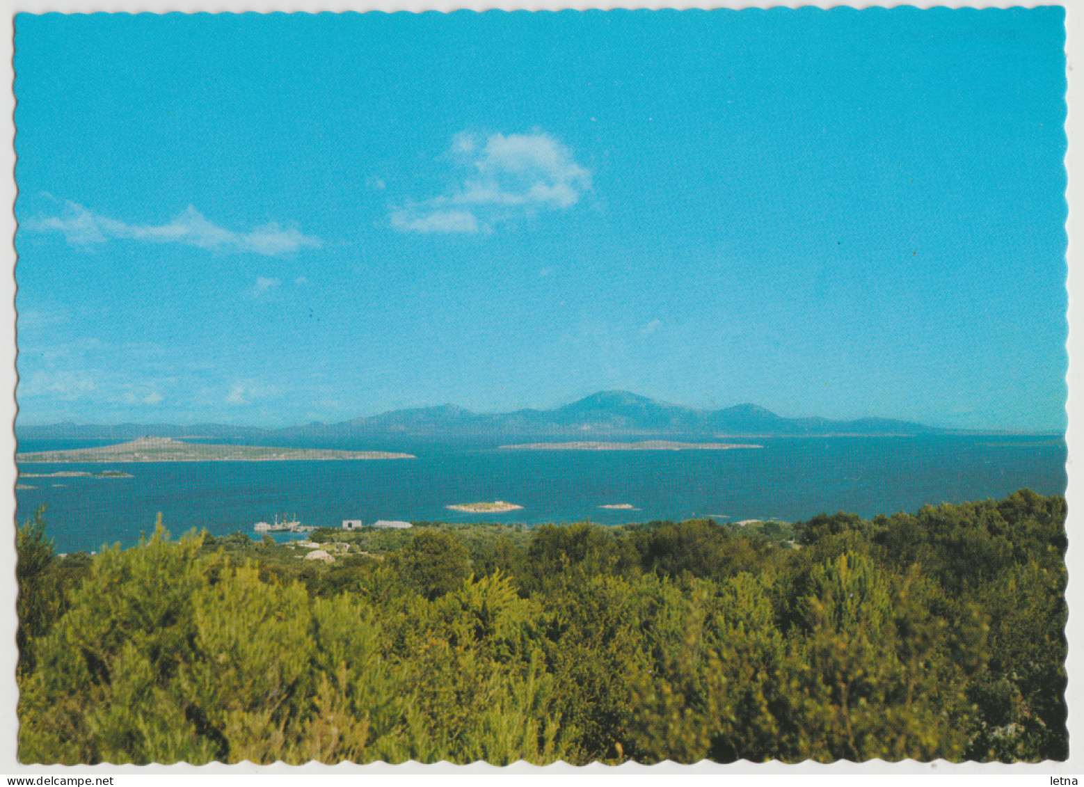 Australia TASMANIA TAS Panorama Of Lady Barron FLINDERS ISLAND Nucolorvue FL23 Postcard C1970s - Autres & Non Classés