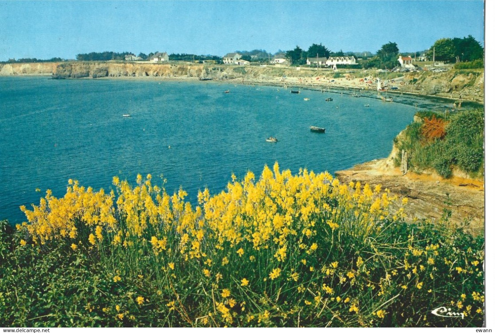 Carte Postale - Pénestin -sur-Mer - Plage De Poudrantais - Pénestin