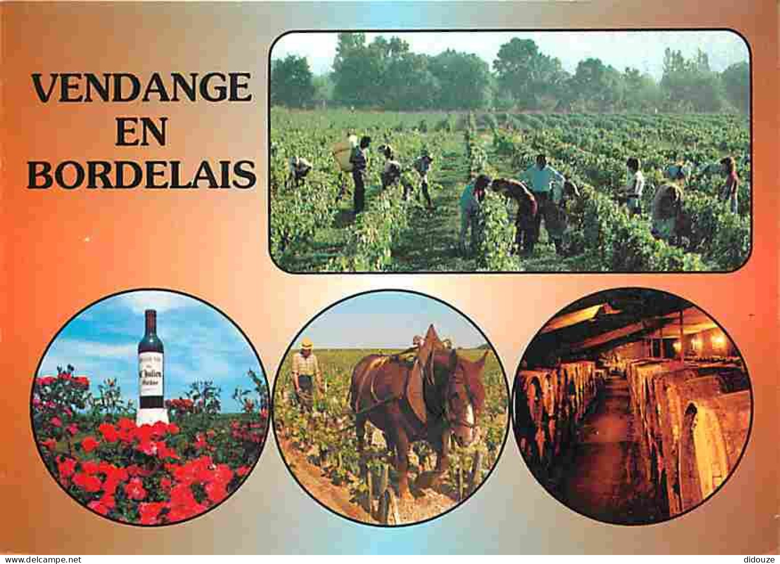 Vignes - Vendanges En Bordelais - Multivues - Chevaux - Bouteille De Vin - Caves - Flamme Postale De La Teste De Buch -  - Wijnbouw