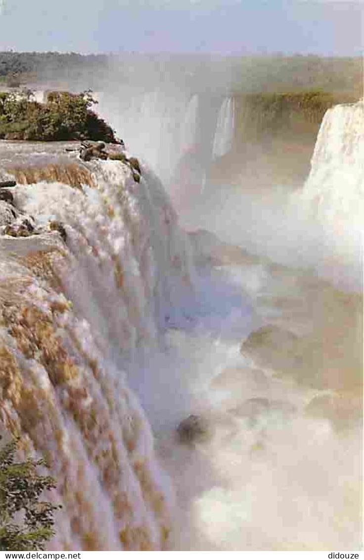 Argentine - Caratas Del Iguazu - CPM - Voir Scans Recto-Verso - Argentina