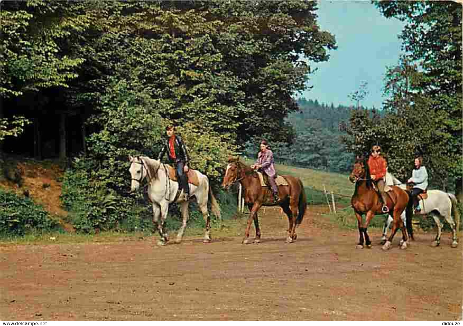 Animaux - Chevaux - Les Ardennes Pittoresques - Sport équestre - CPM - Voir Scans Recto-Verso - Cavalli