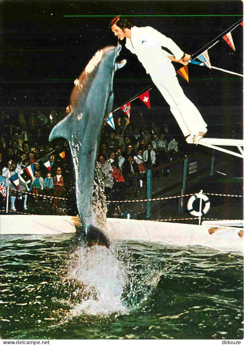 Animaux - Dauphin - Dolphin - Europa-Park - Delphin- Show Mit Trainer - CPM - Voir Scans Recto-Verso - Dauphins