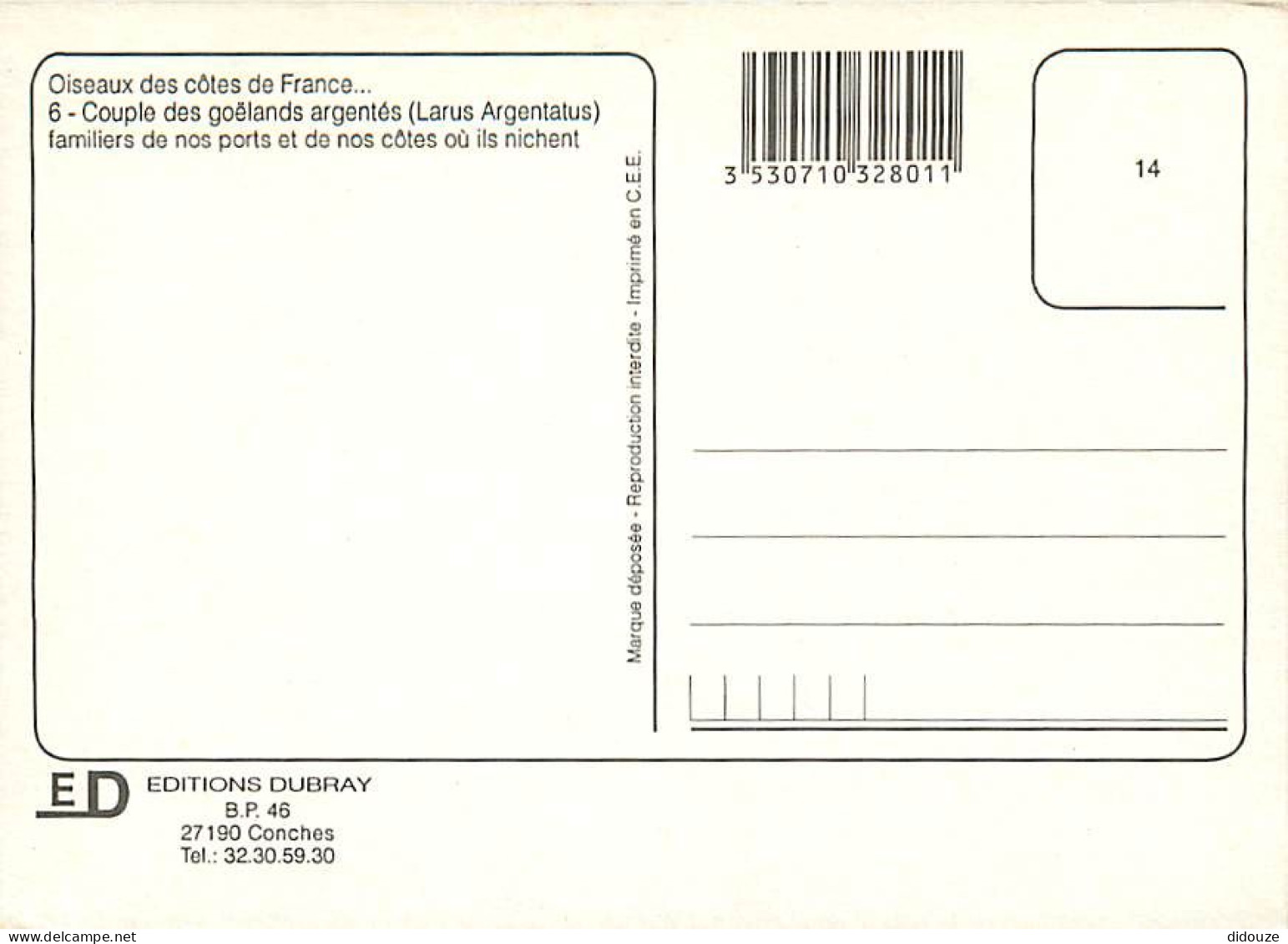 Animaux - Oiseaux - Oiseaux De Mer - Goélands Argentés - CPM - Voir Scans Recto-Verso - Birds