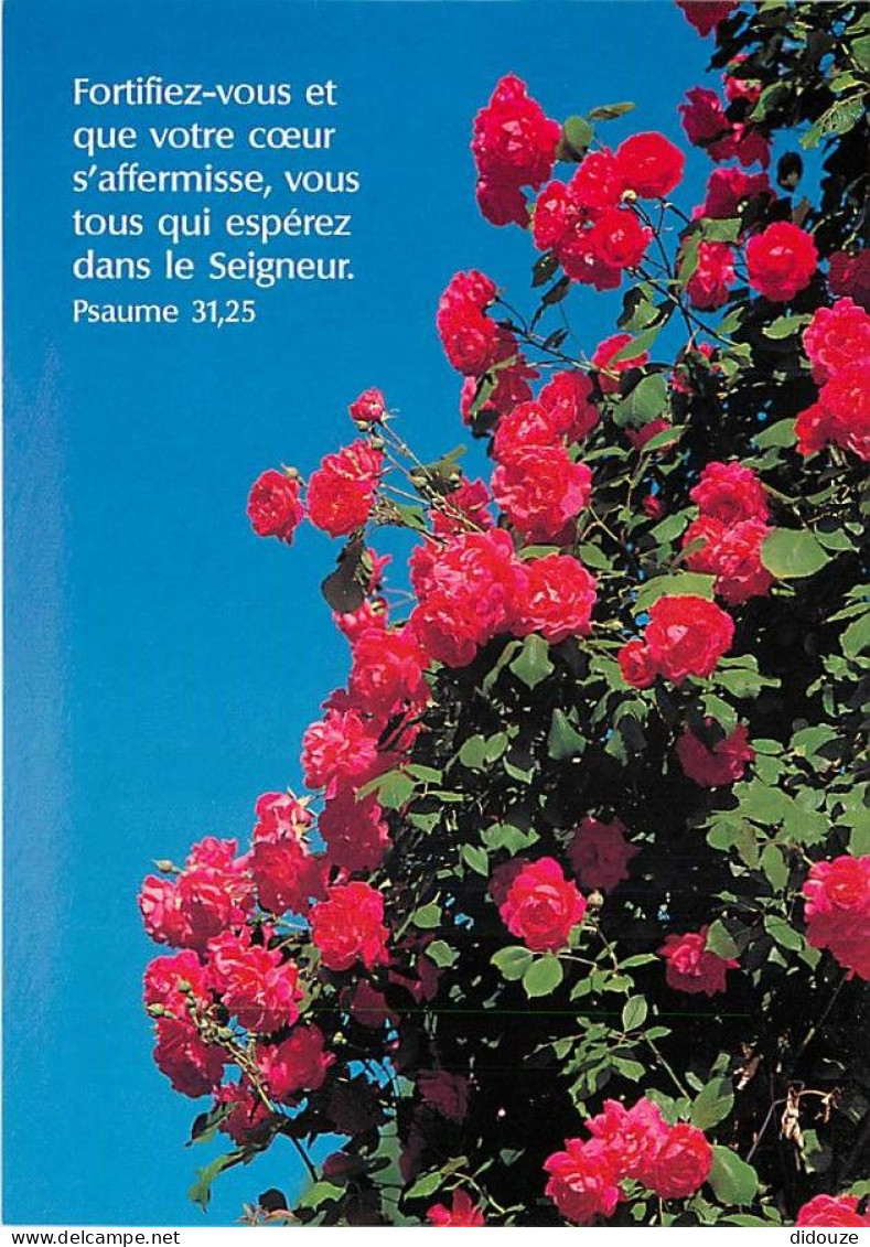 Fleurs - CPM - Voir Scans Recto-Verso - Bloemen