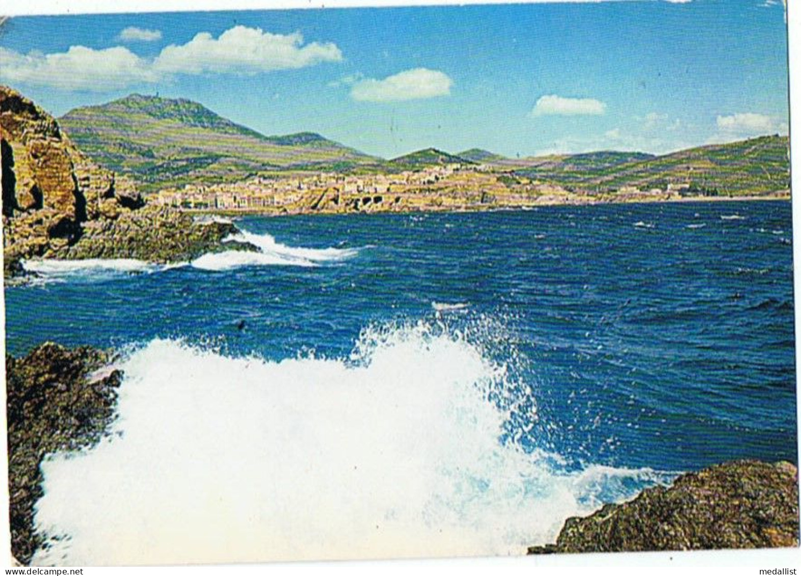 CPM..66..BANYULS SUR MER..VUE GENERALE SUR LA VILLE - Banyuls Sur Mer