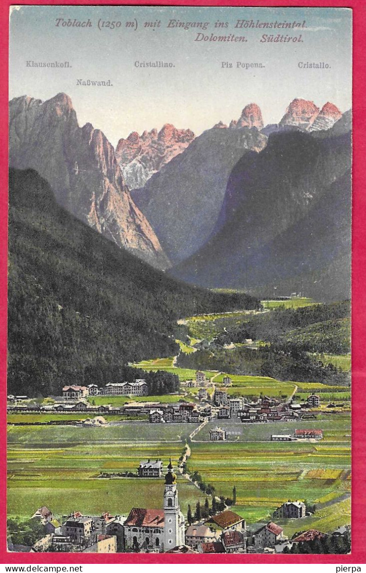 ALTO ADIGE - TOBLACH - PANORAMA - FORMATO PICCOLO - EDIZ. AMONN - NUOVA - Sonstige & Ohne Zuordnung