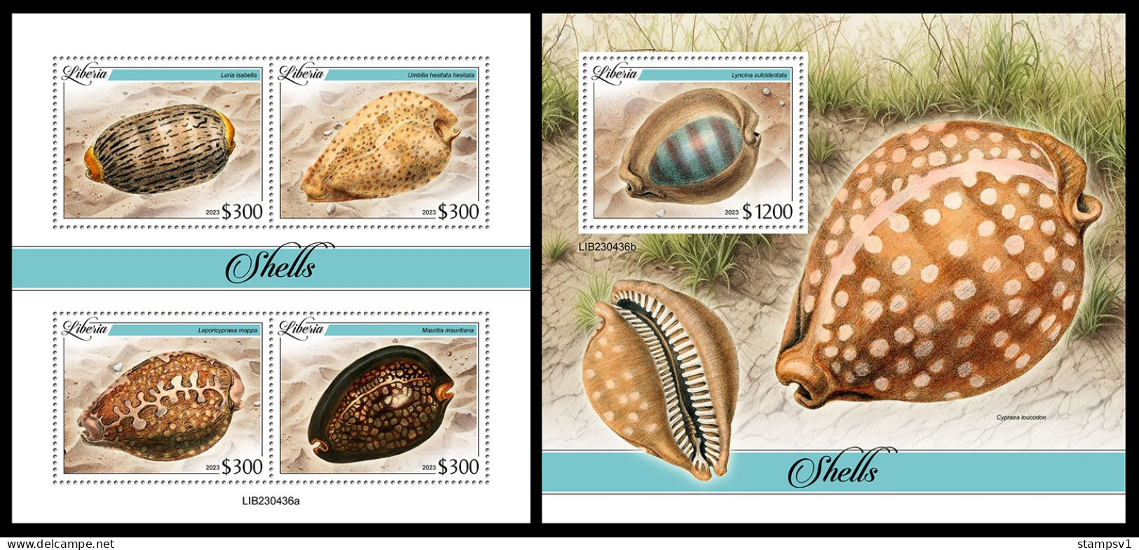 Liberia  2023 Shells. (436) OFFICIAL ISSUE - Conchas