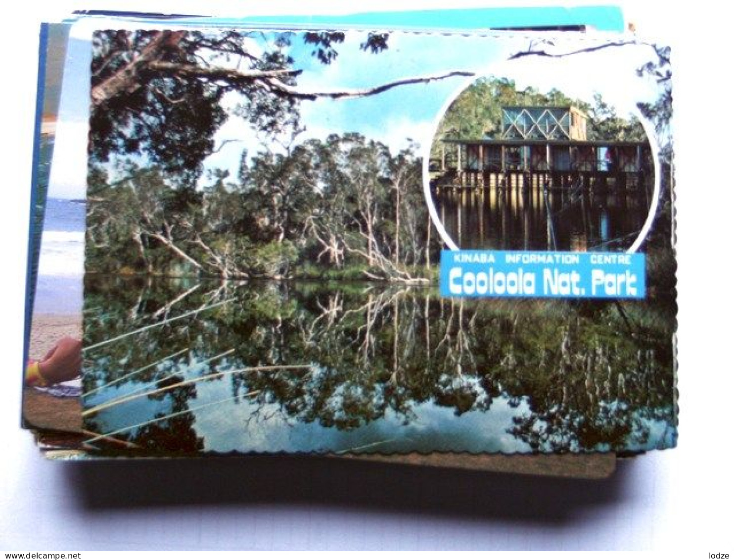 Australië Australia Queensland Cooloola National Park Kinaba Information - Altri & Non Classificati