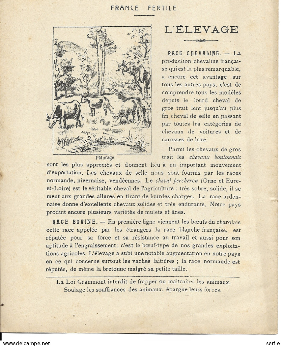 Vieux Papiers - Couverture Protège-Cahier - "France Fertile"- Elevage Race Chevaline - Book Covers