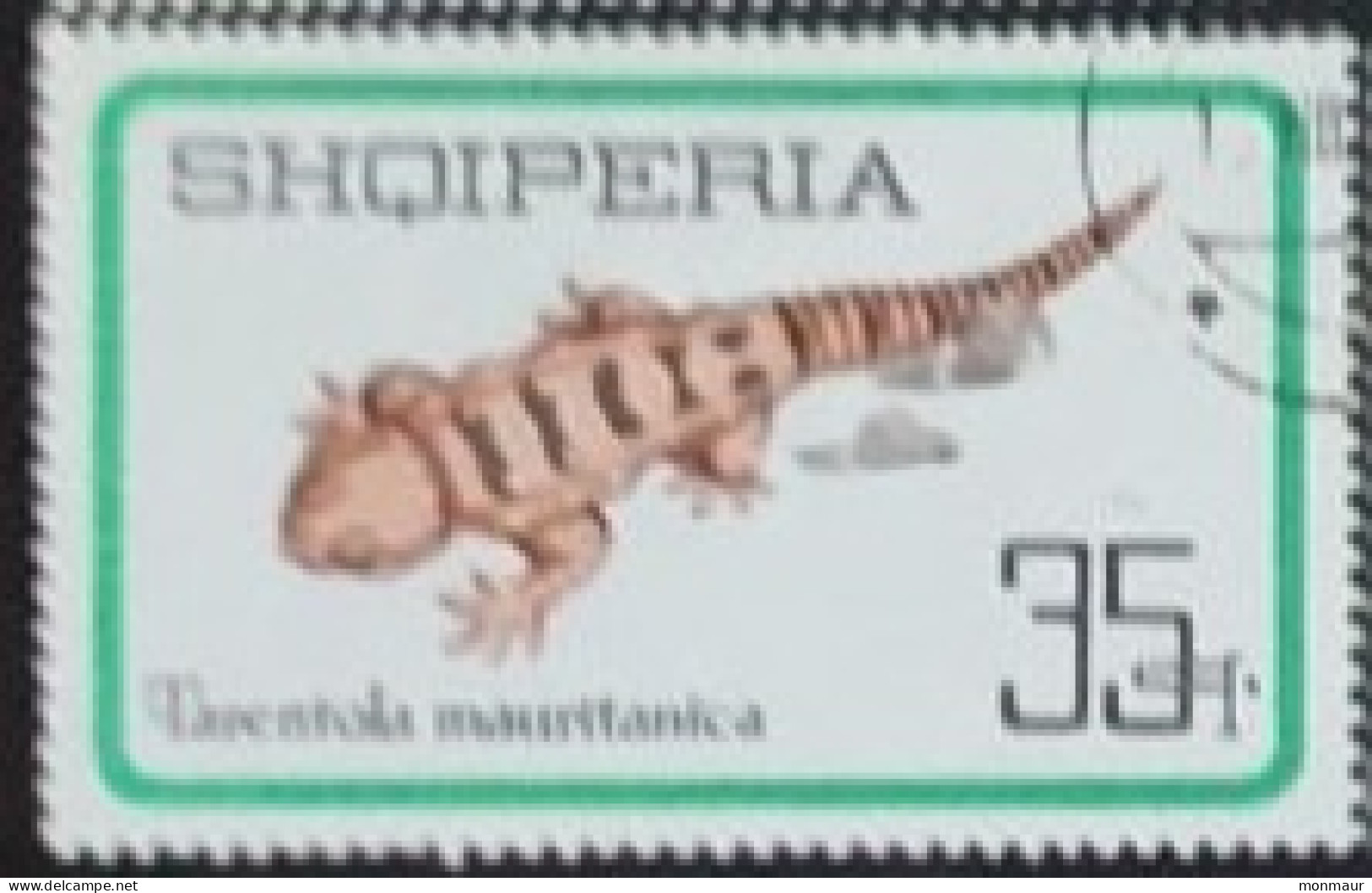 ALBANIA1973 TARENTOLA MAURITANICA - Albanien