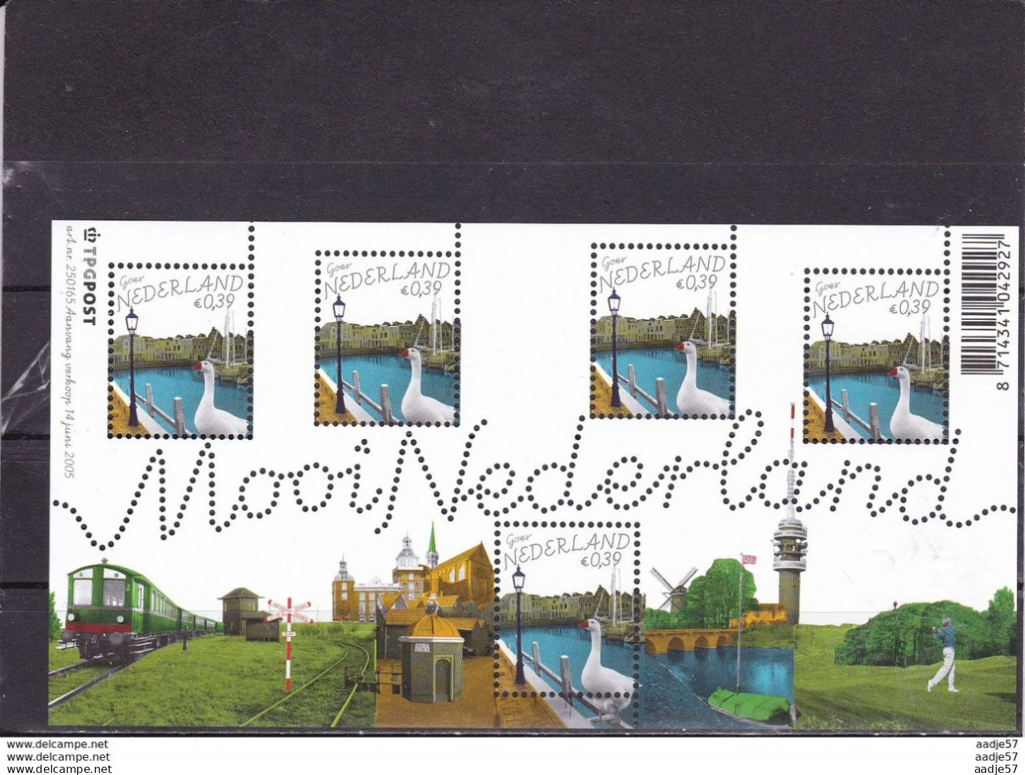 Netherlands Niederlande Pays Bas 2005 Beautifull Netherland Goes MNH** - Eisenbahnen