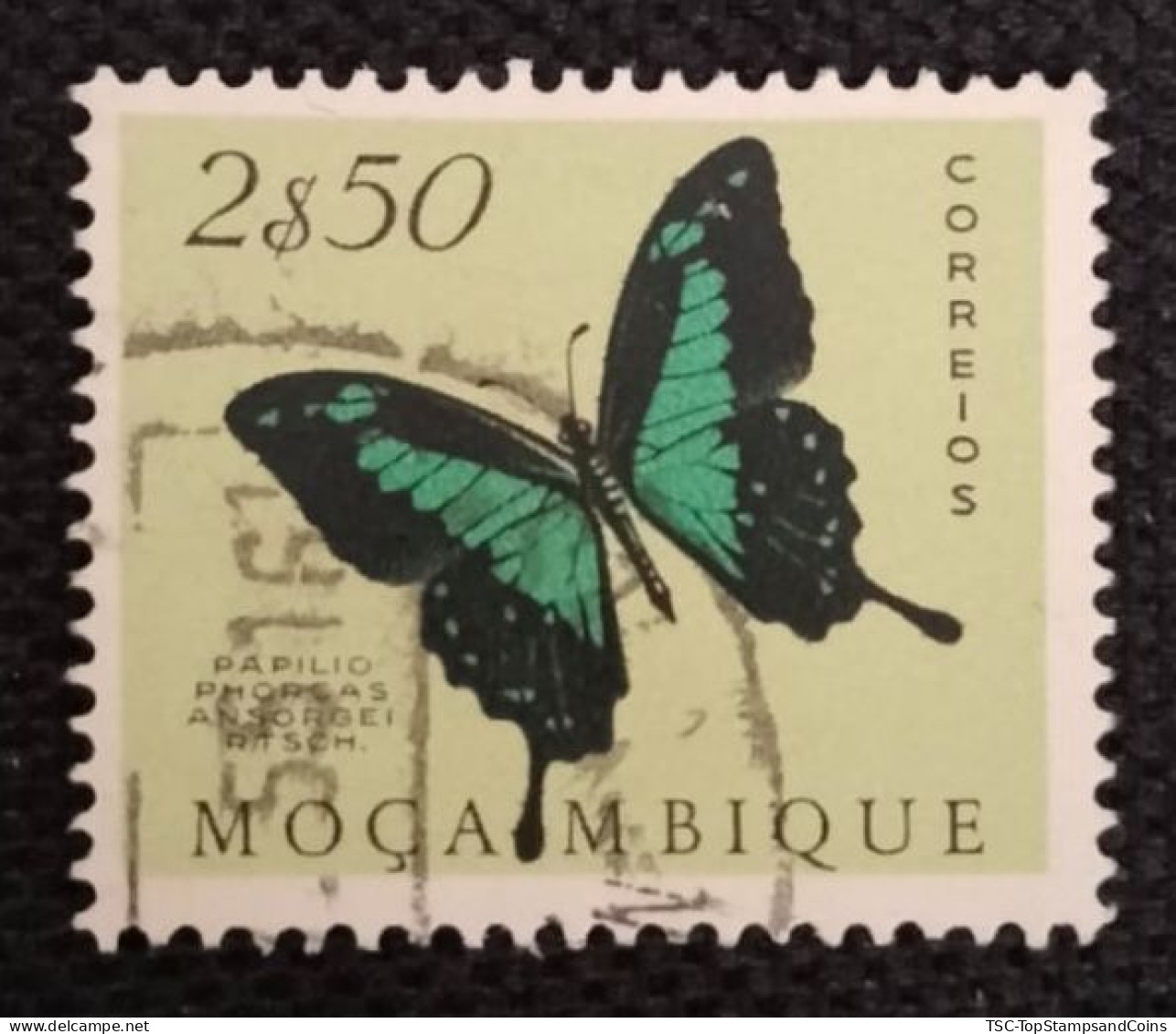 MOZPO0399U6 - Mozambique Butterflies  - 2$50 Used Stamp - Mozambique - 1953 - Mozambique