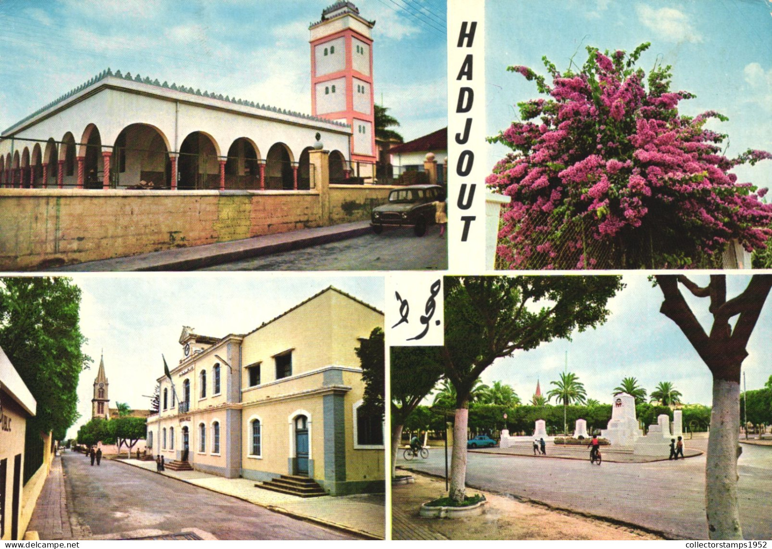 HADJOUT, MULTIPLE VIEWS, ARCHITECTURE, TOWER, CAR, MONUMENT, BLOOMING TREE, ALGERIA, POSTCARD - Andere & Zonder Classificatie