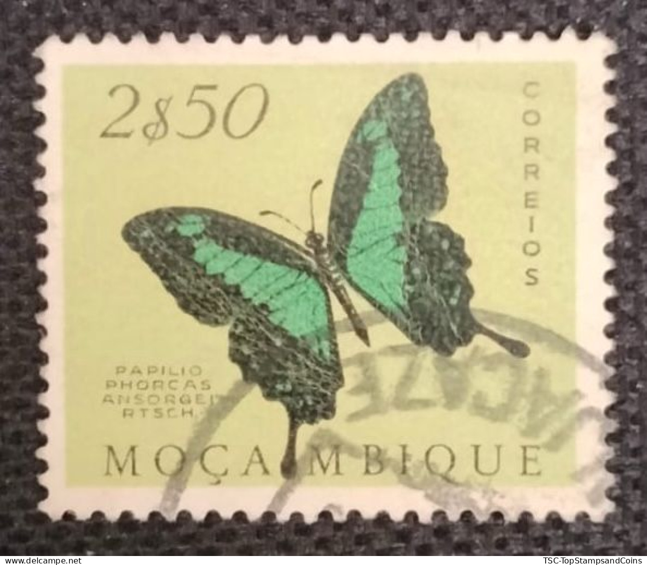 MOZPO0399UA - Mozambique Butterflies  - 2$50 Used Stamp - Mozambique - 1953 - Mozambique