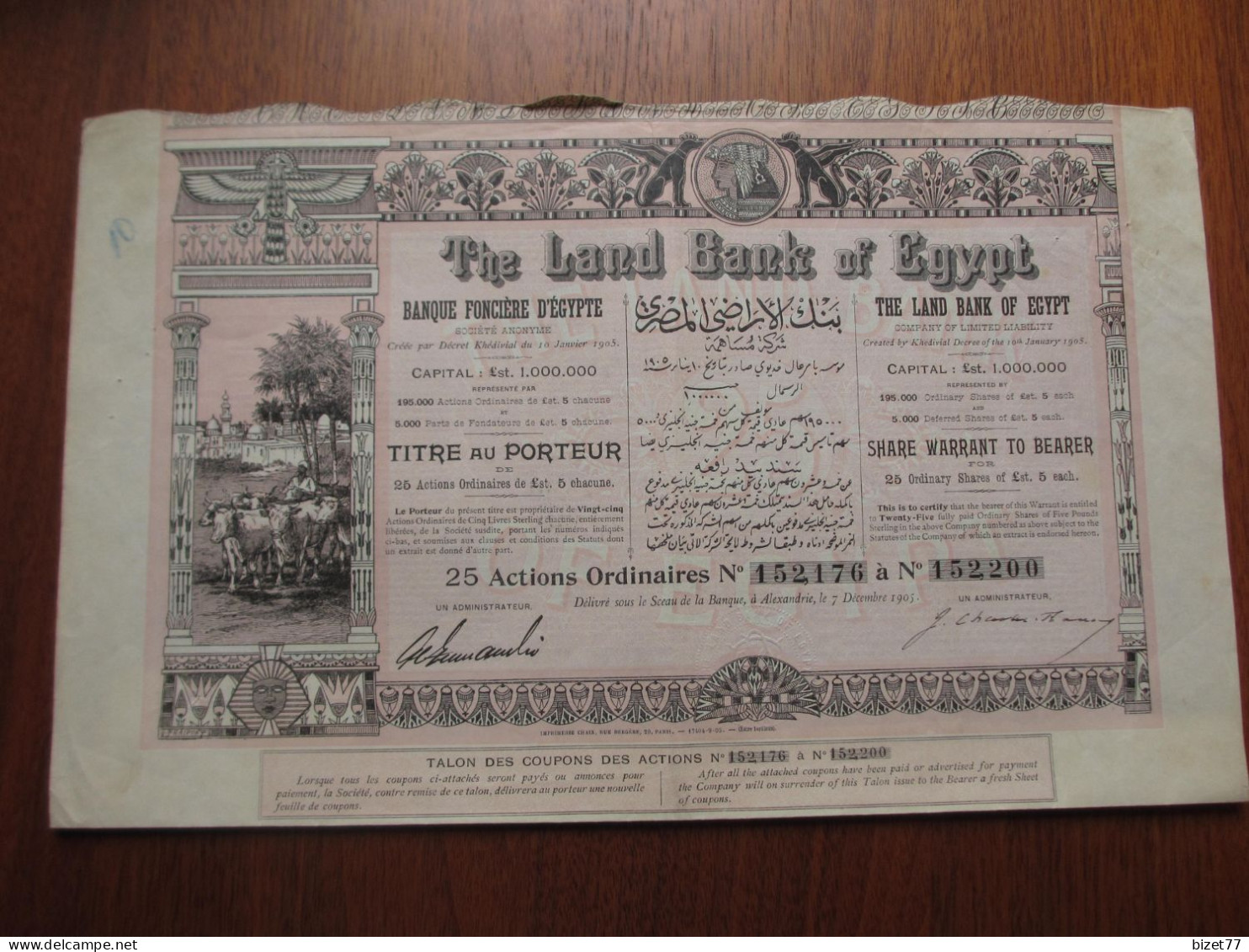 EGYPTE - ALEXANDRIE 1905 - LAND BANK OF EGYPT - TITRE 25 ACTIONS  DE 5 LIVRES STERLING - CAPITAL 1000 000 - BELLE DECO - Sonstige & Ohne Zuordnung