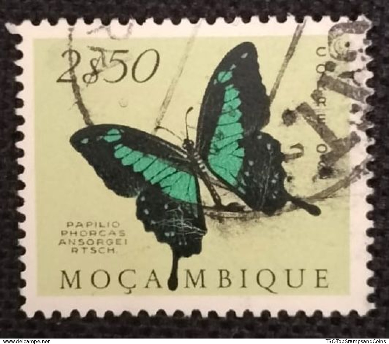 MOZPO0399UC - Mozambique Butterflies  - 2$50 Used Stamp - Mozambique - 1953 - Mozambique