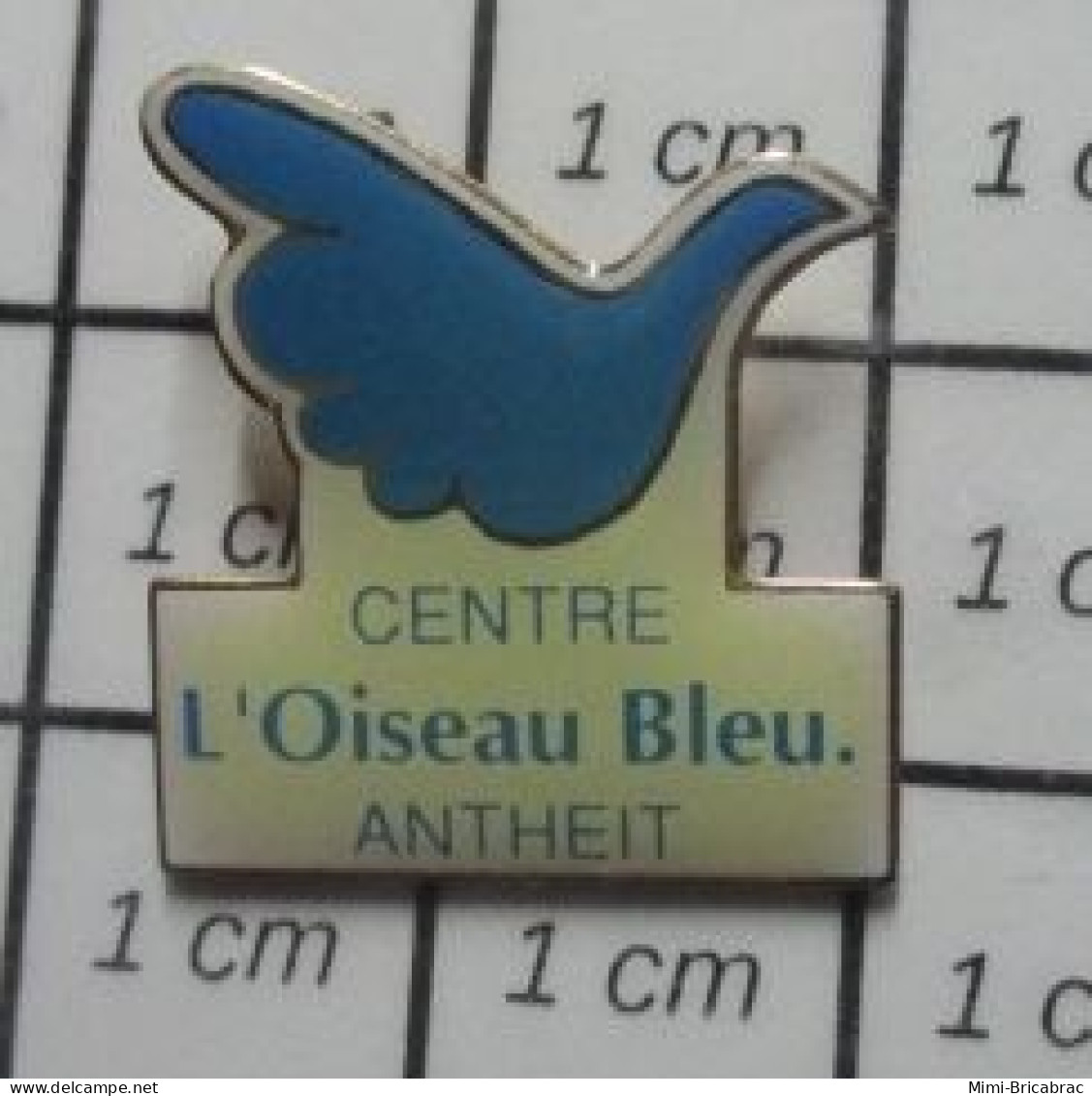 422 Pin's Pins / Beau Et Rare / MARQUES / CENTRE L'OISEAU BLEU ANTHEIT - Marche