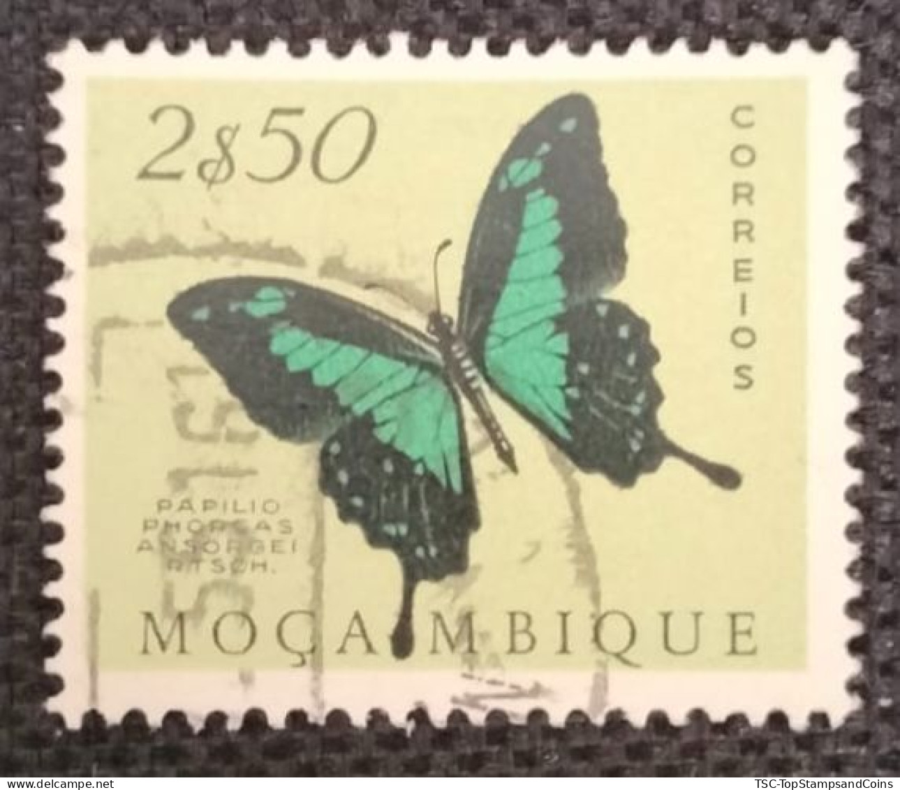 MOZPO0399UG - Mozambique Butterflies  - 2$50 Used Stamp - Mozambique - 1953 - Mozambique