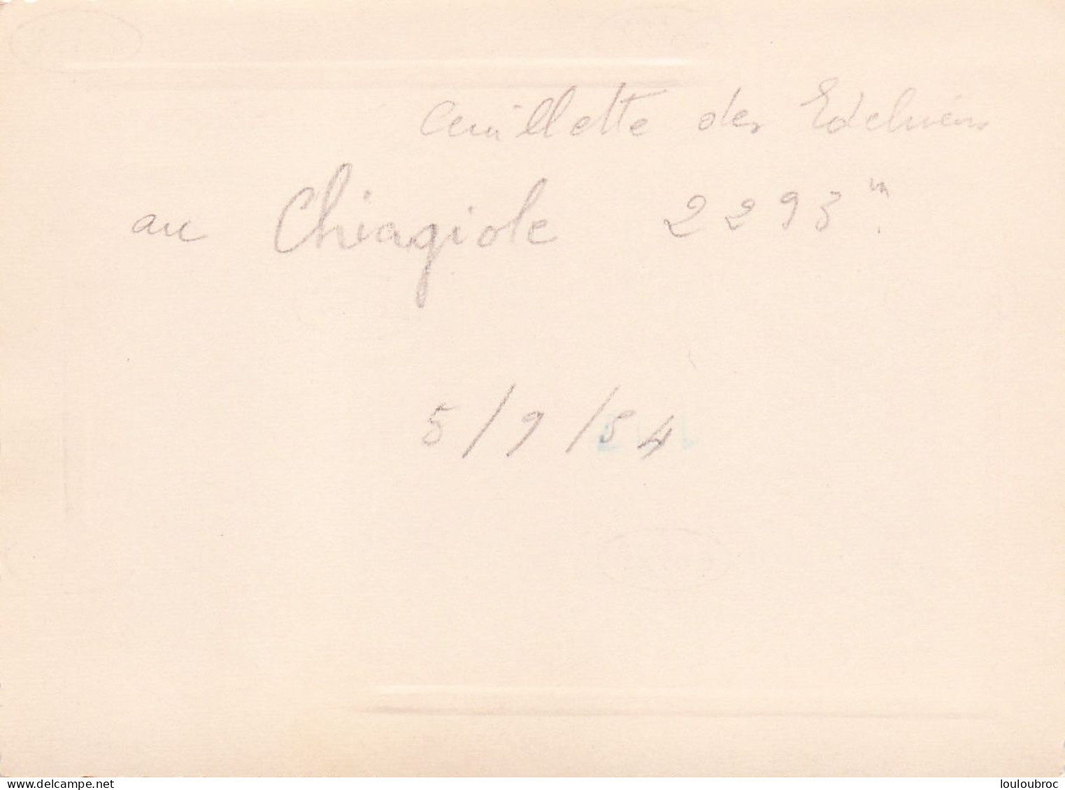 ALPES LE CHAJOL 2293m CUEUILLETTE DES EDELWEISS 1954  ALPINISME  PHOTO ORIGINALE  11 X 8 CM - Orte