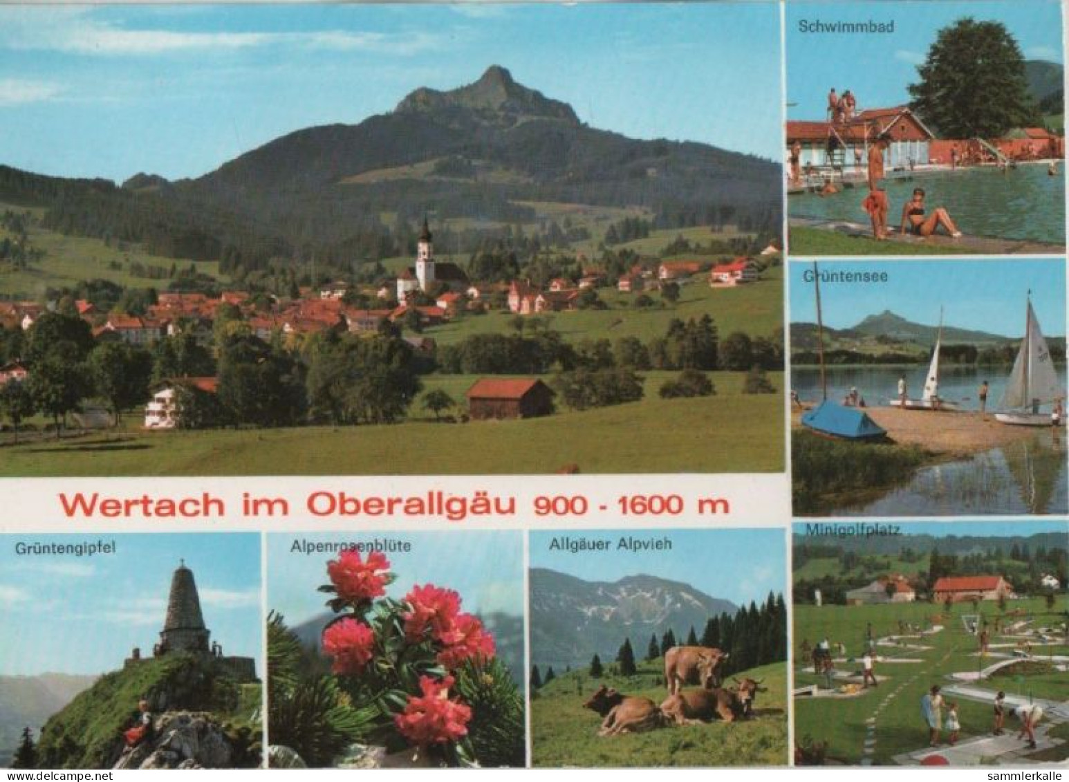 105957 - Wertach - U.a. Allgäuer Alpvieh - 1971 - Sonthofen