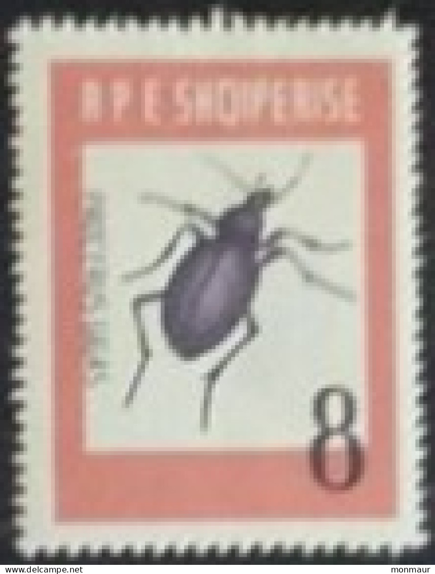 ALBANIA1963 PROCERUS GIGAS - Albania