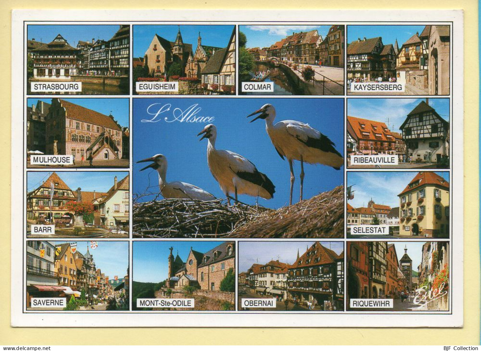 Région Alsace : Souvenir D'Alsace / Multivues / Au Pays Des Cigognes (voir Scan Recto/verso) - Alsace