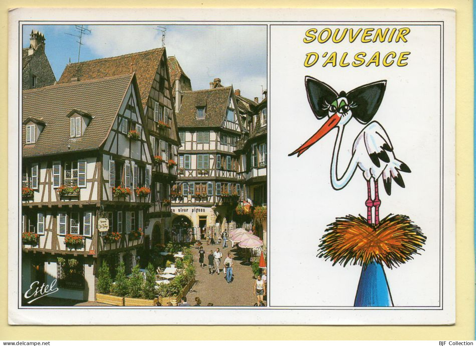 Région Alsace : Souvenir D'Alsace / 1 Vue / Dessin Cigogne (voir Scan Recto/verso) - Alsace