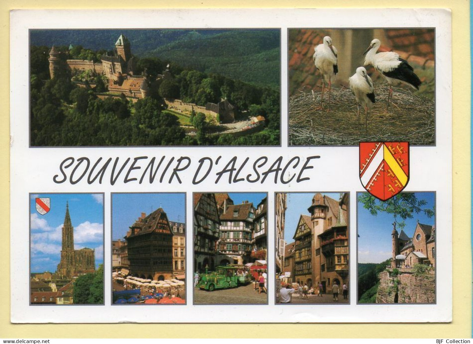 Région Alsace : Souvenir D'Alsace / Multivues / Blason / Cigognes (voir Scan Recto/verso) - Alsace