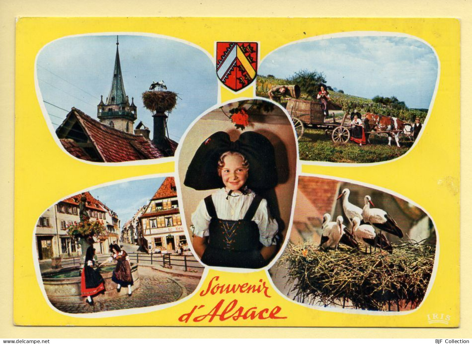 Région Alsace : Souvenir D'Alsace / Multivues / Blason (voir Scan Recto/verso) - Alsace