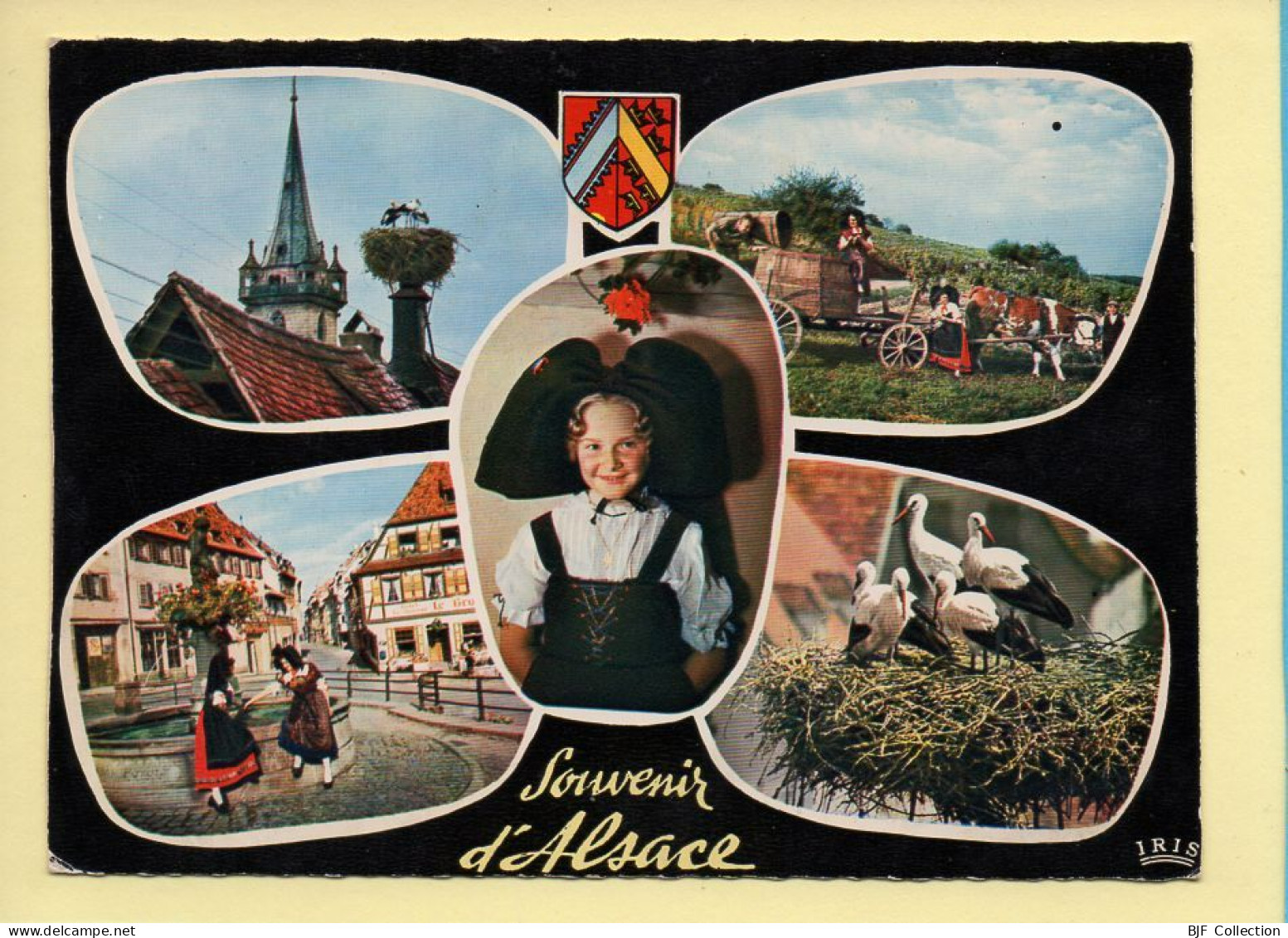 Région Alsace : Souvenir D'Alsace / Multivues / Blason / CPSM (voir Scan Recto/verso) - Alsace