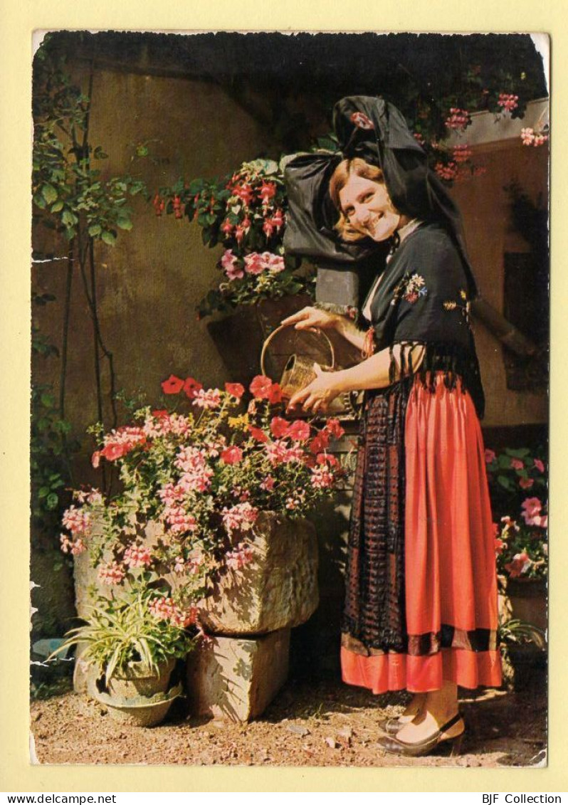 Région Alsace : Traditions D'Alsace / La Belle Jardinière (voir Scan Recto/verso) - Alsace