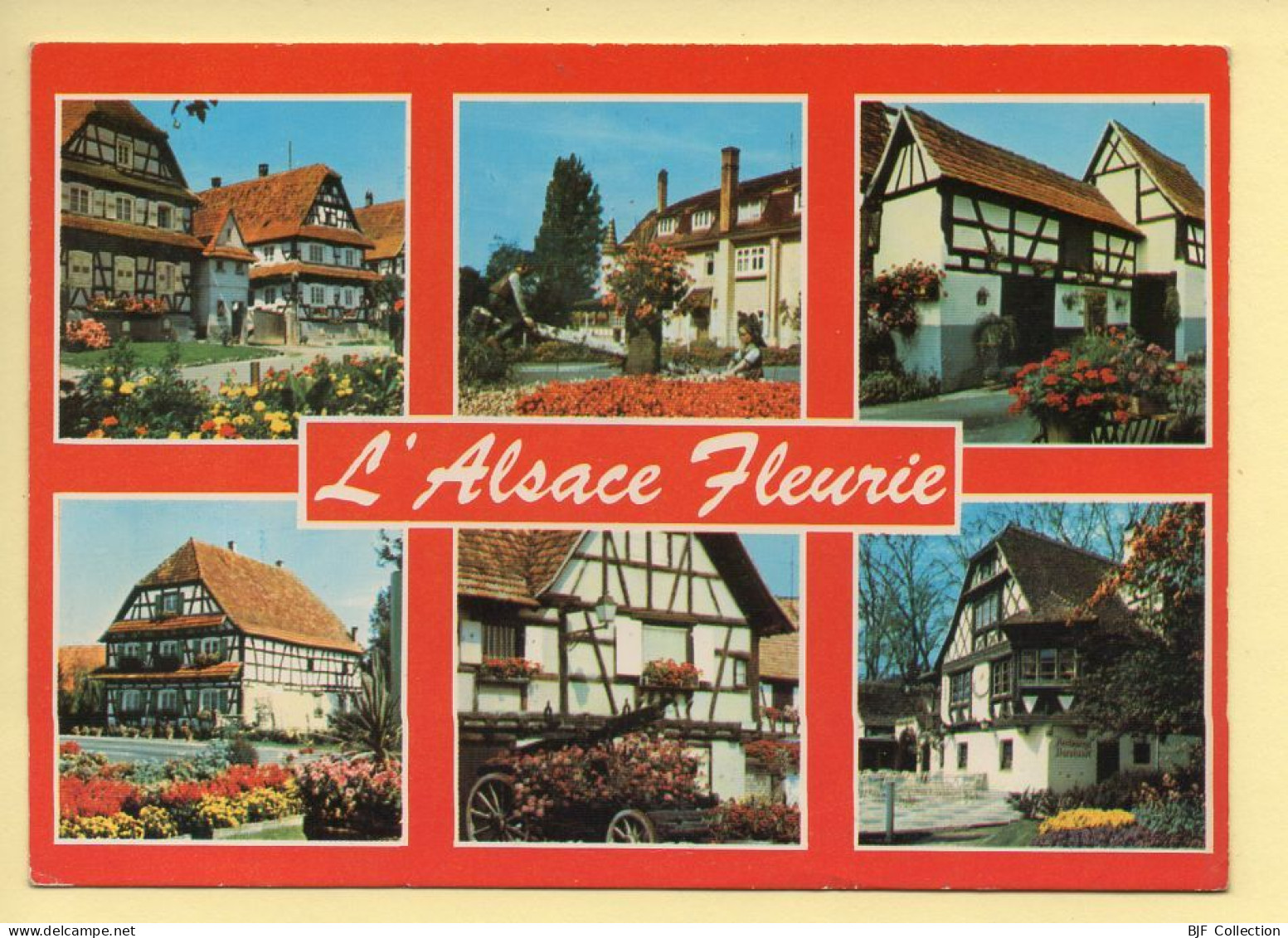 Région Alsace : L'Alsace Fleurie – Multivues (voir Scan Recto/verso) - Alsace