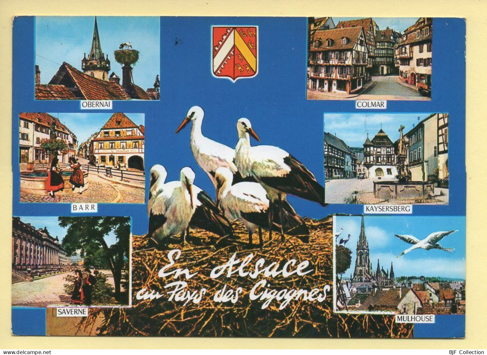 Région Alsace : En Alsace / Au Pays Des Cigognes – Multivues / Blason (voir Scan Recto/verso) - Alsace