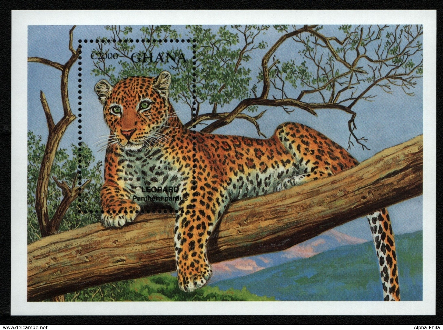 Ghana 1994 - Mi-Nr. Block 247 ** - MNH - Leopard - Ghana (1957-...)