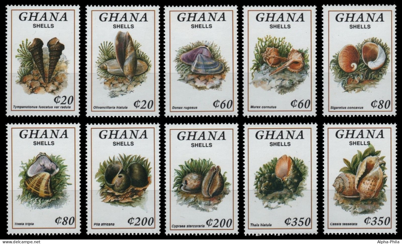 Ghana 1992 - Mi-Nr. 1731-1740 ** - MNH - Meeresschnecken / Marine Snails - Ghana (1957-...)