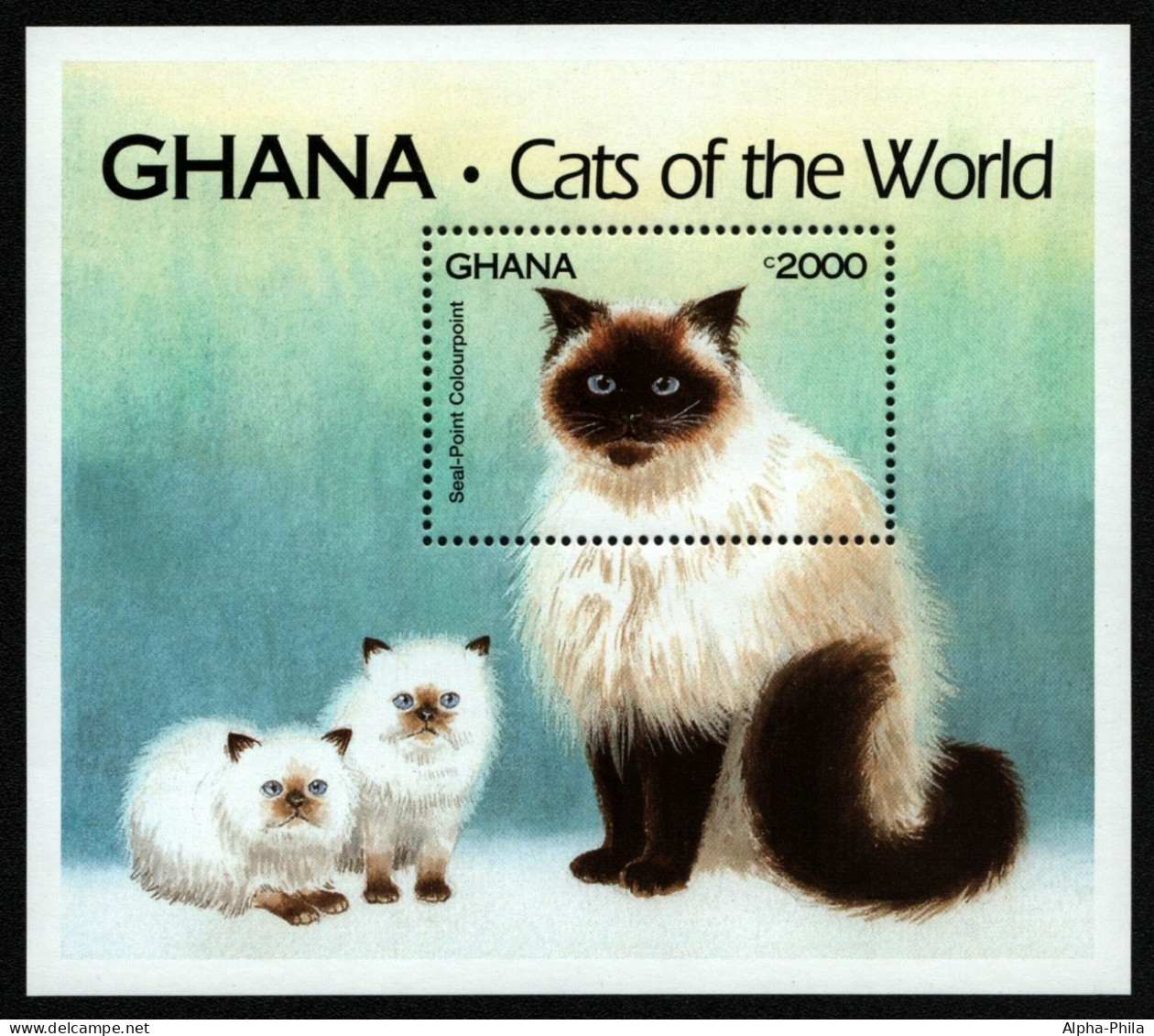 Ghana 1994 - Mi-Nr. Block 250 ** - MNH - Katzen / Cats - Ghana (1957-...)