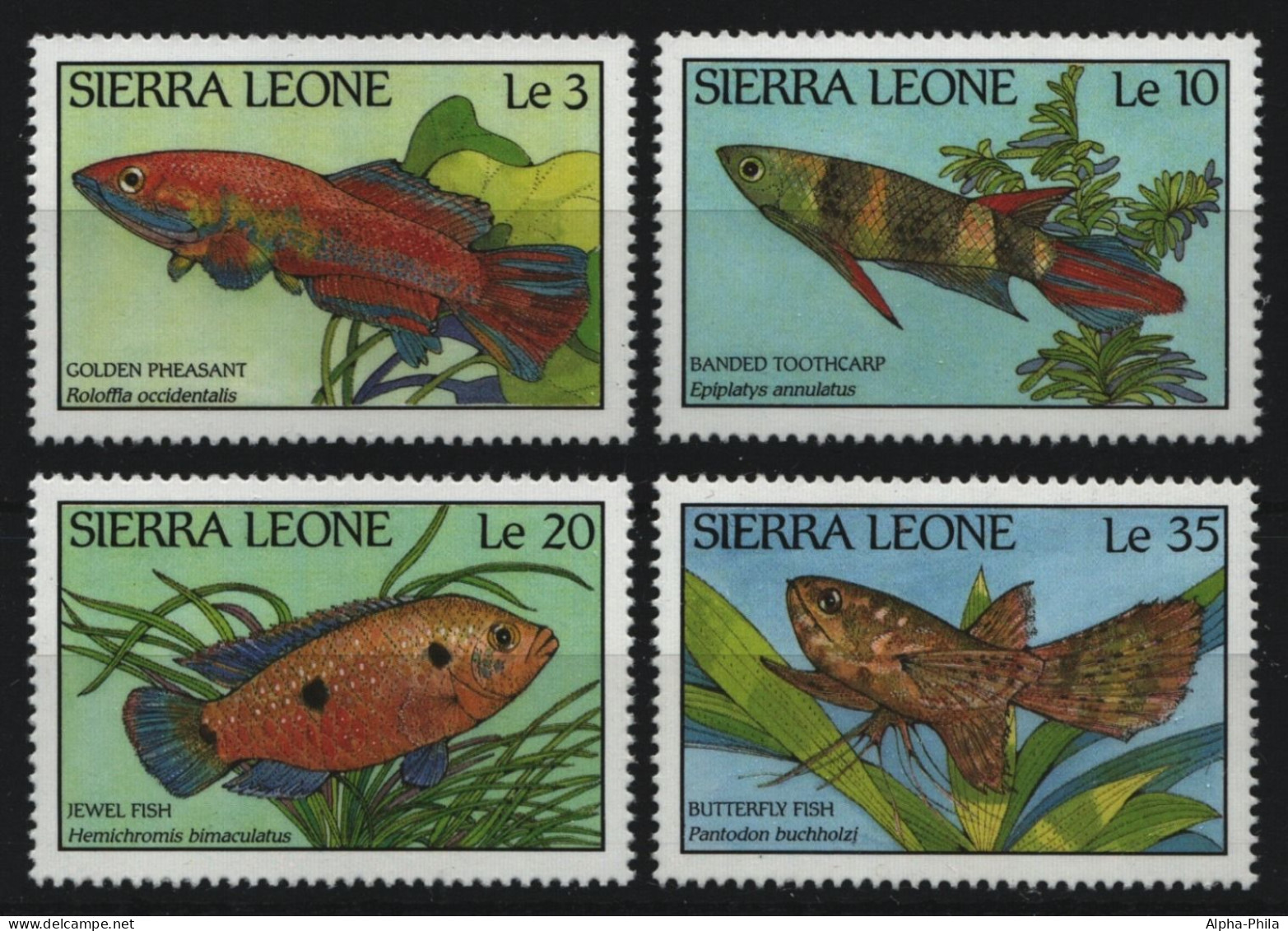 Sierra Leone 1988 - Mi-Nr. 1081-1084 ** - MNH - Fische / Fish - Sierra Leona (1961-...)