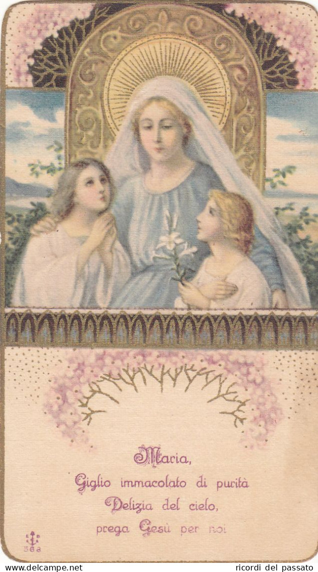 Santino Maria Giglio Immacolato - Devotion Images