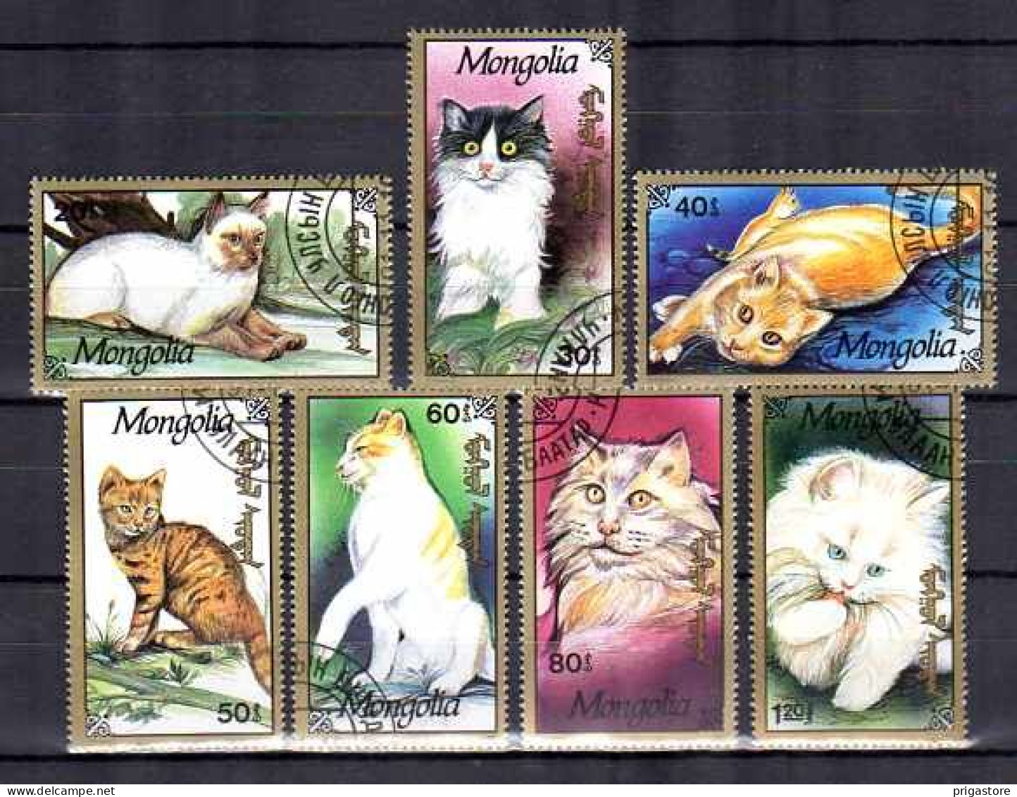 Chats Mongolie 1991 (12) Yvert N° 1890 à 1896 Oblitérés Used - Domestic Cats