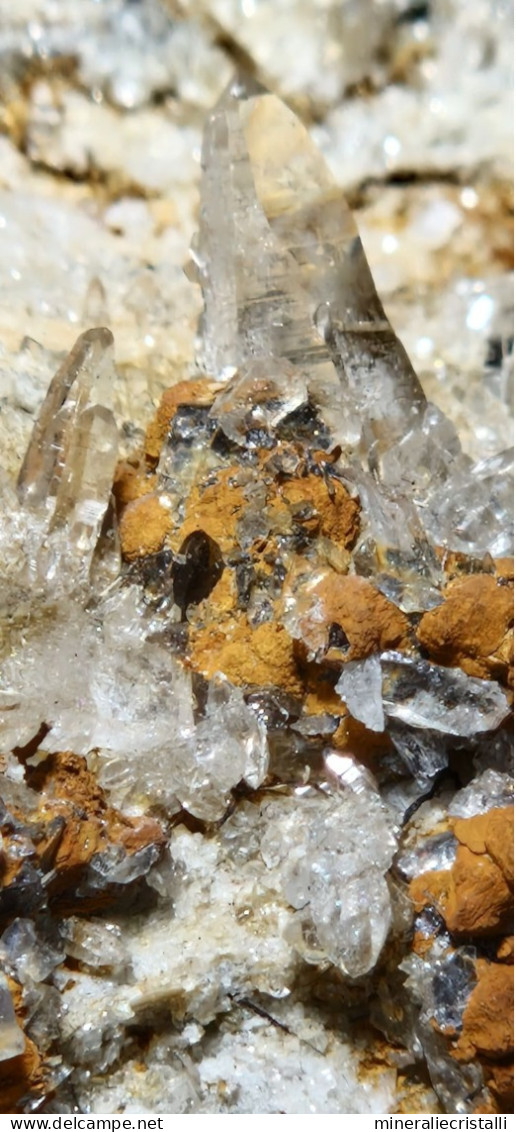 Rutilo Minerale^^ Rutilo Aghi  Di Quarzo Su Matrice Val Formazza 13,5 X 8 Cm Italia - Minerals