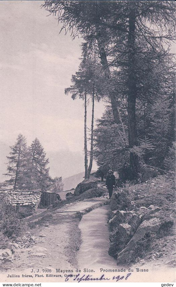 Mayens De Sion VS, Promenade Le Long Du Bisse (7006) - Sonstige & Ohne Zuordnung