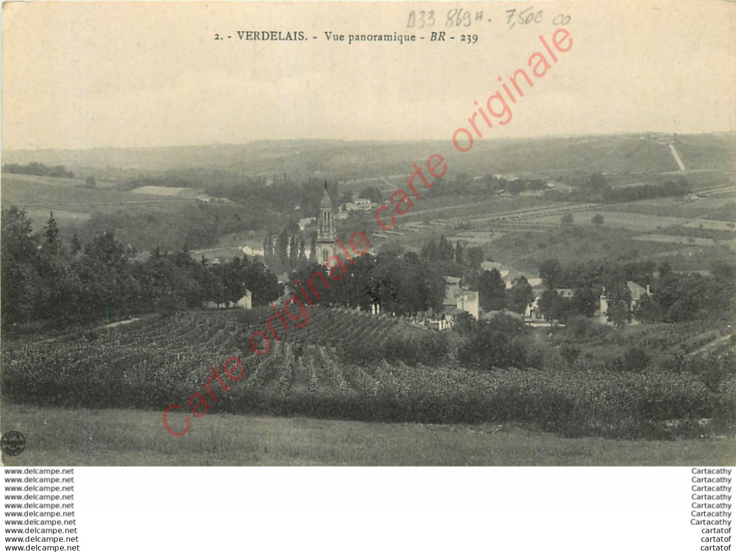 33.  VERDELAIS .  Vue Panoramique . - Verdelais