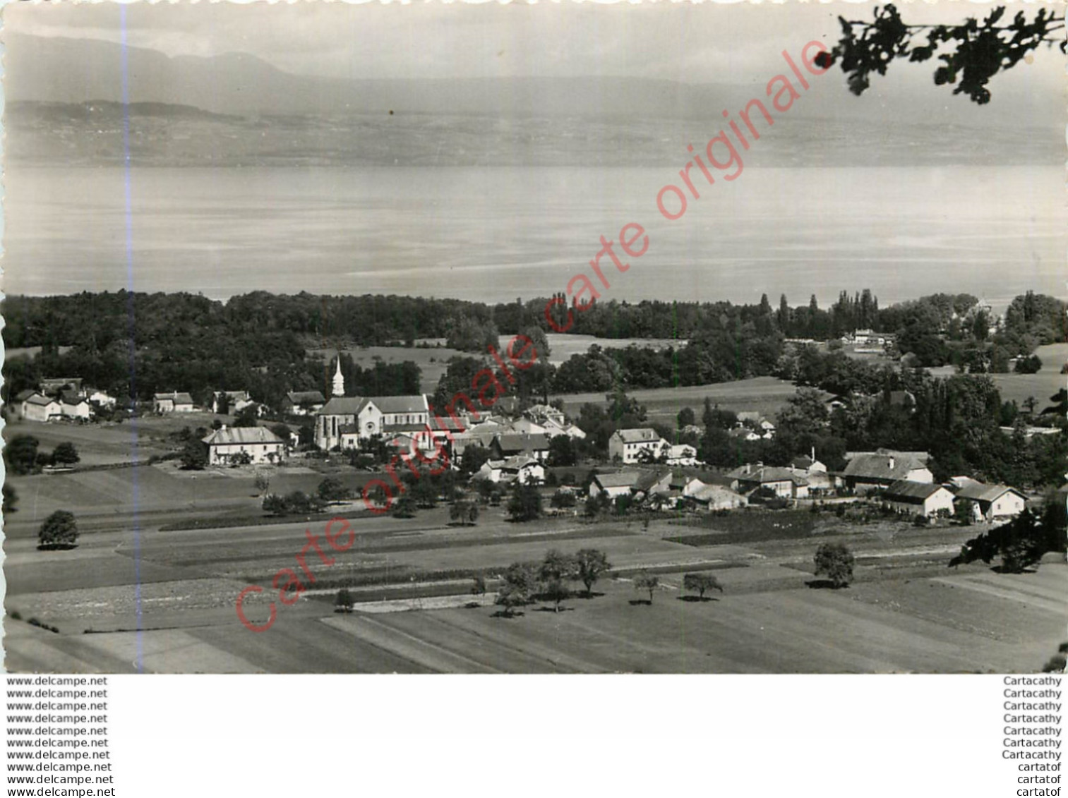 74.  SCIEZ .  Le Lac Léman Et La Côte Suisse . - Sciez