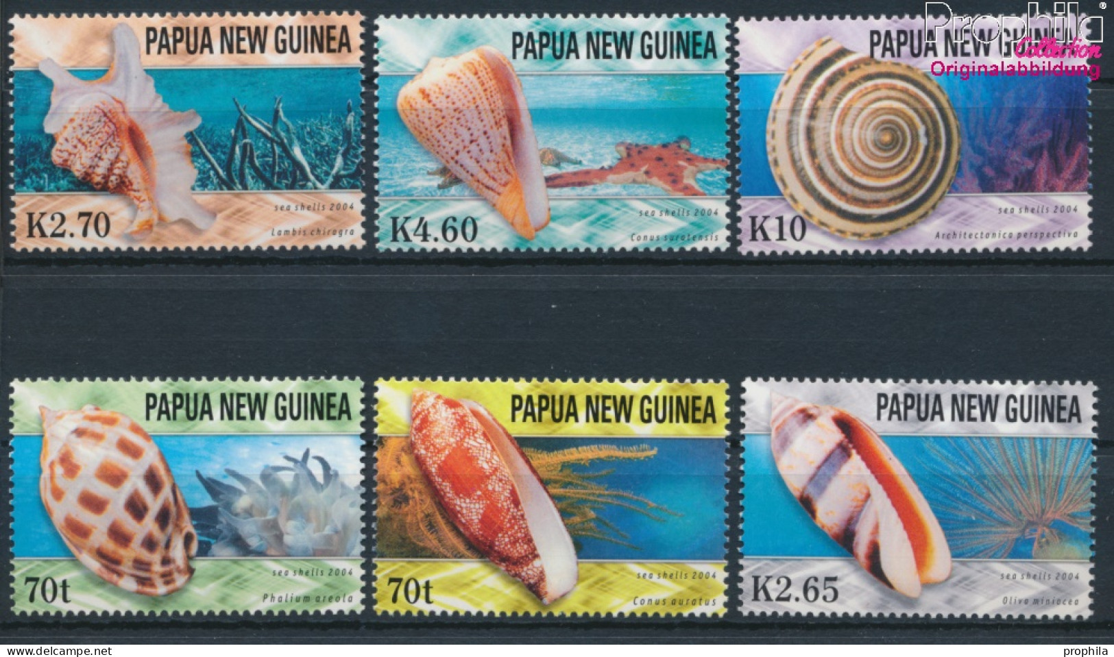 Papua-Neuguinea 1099-1104 (kompl.Ausg.) Postfrisch 2004 Meeresschnecken (10348008 - Papua-Neuguinea
