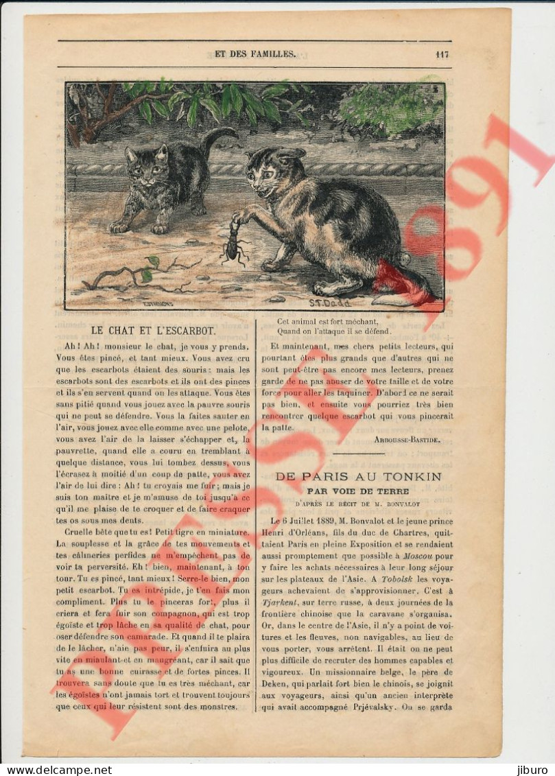 4 Vues Humour Chat Animal Escarbot Symmons Dadd (Lucane Insecte) Paris Tonkin Bonvalot Henri D'Orléans Tibet Expédition - Non Classificati